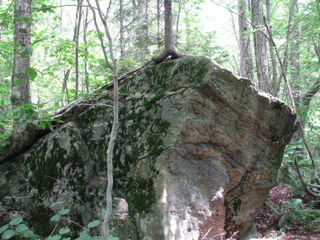 trail at Woodford SP